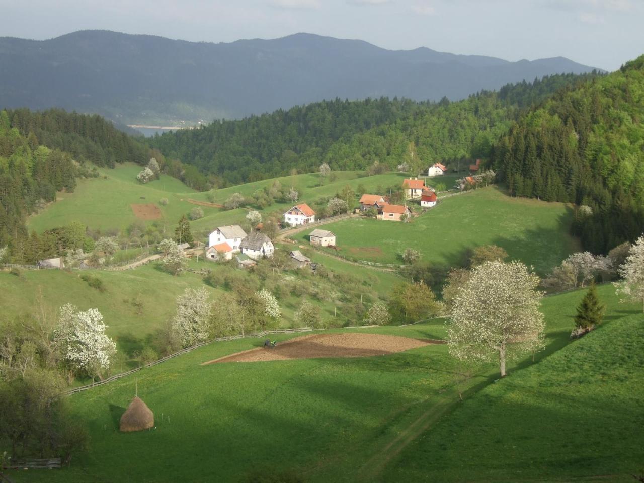 Planinski Mir Zaovine Extérieur photo