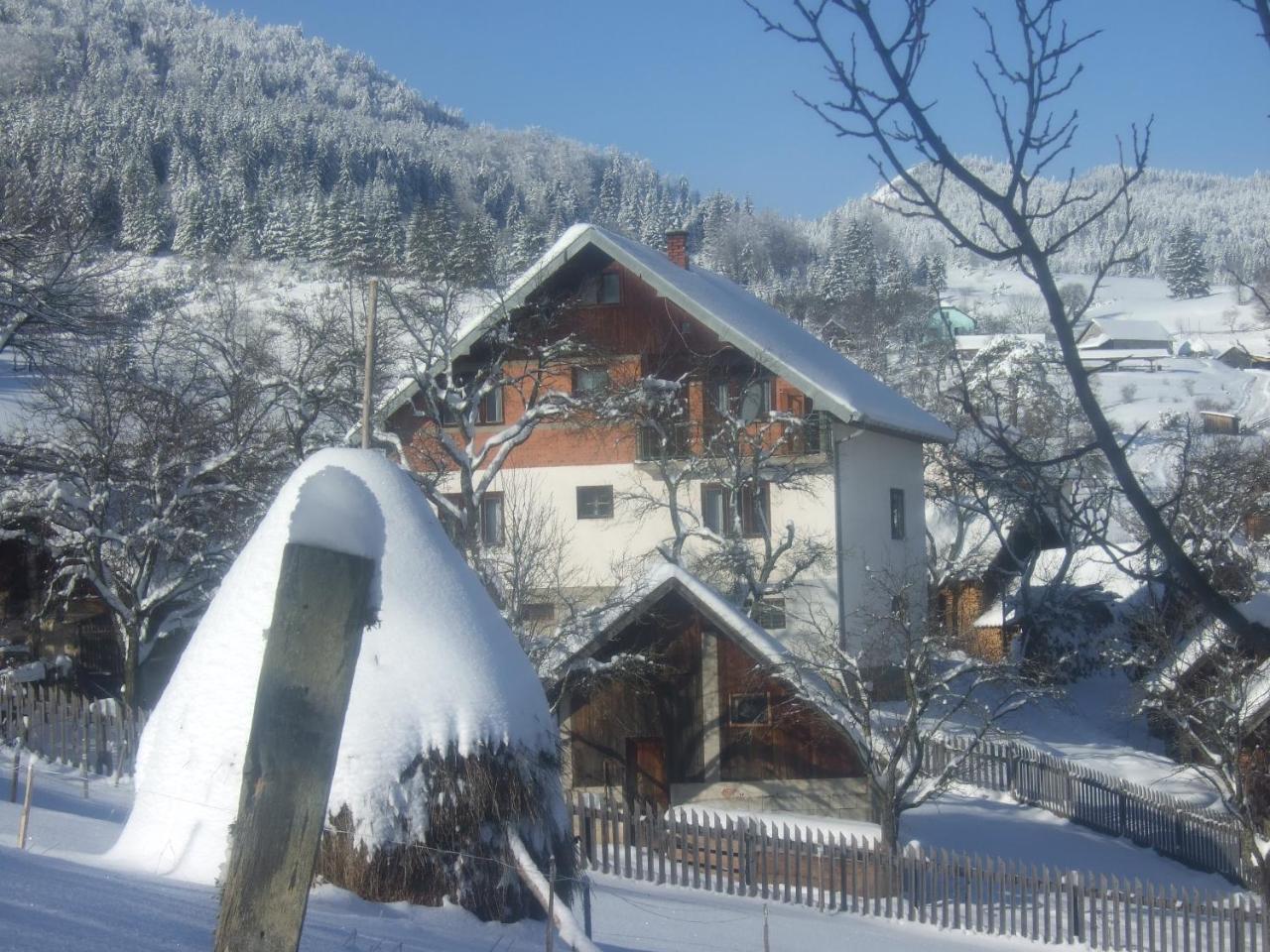 Planinski Mir Zaovine Extérieur photo