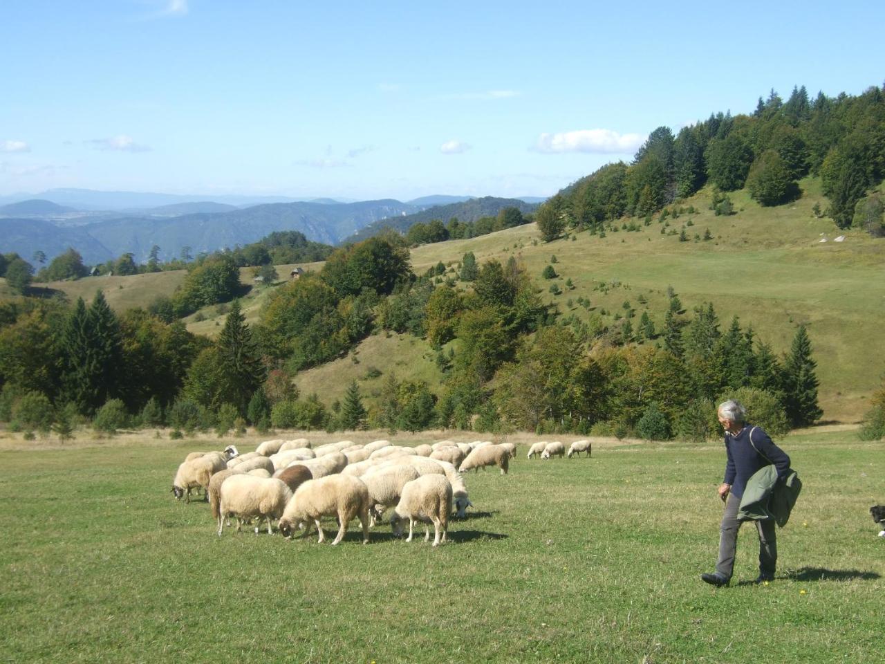Planinski Mir Zaovine Extérieur photo